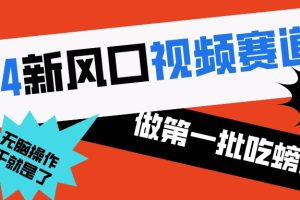 2024新风口视频赛道 做第一批吃螃蟹的人 10分钟一条原创视频 小白无脑操作