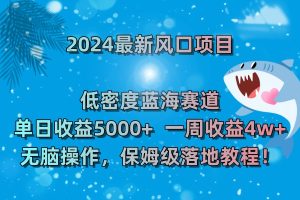 2024最新风口项目 低密度蓝海赛道，日收益5000+周收益4w+