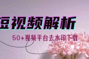 视频解析机器人_解锁VIP版（支持50+视频平台去水印）