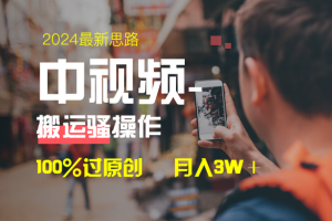 中视频新思路，双重去重100%过原创，一键分发多平台变现，简单无脑