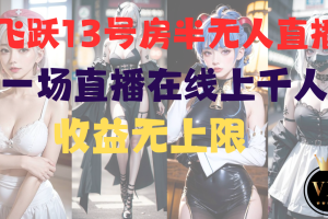 飞跃13号房半无人直播，一场直播在线上千人，收益无上限（附软件）