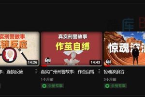 B站UP主充电专属视频下载，去水印，字幕，弹幕