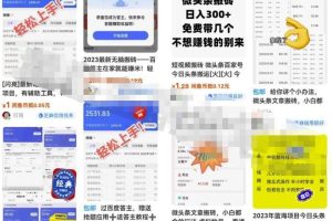 揭秘项目单日引流大几百创业粉嚼喂式拆解