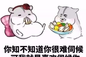 哄对象模拟器安卓版