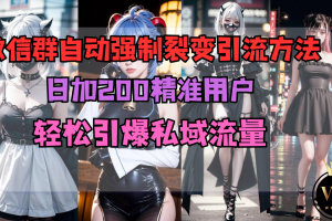 微信群自动强制裂变引流方法，日加200精准用户，轻松引爆私域流量
