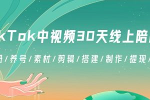 TikTok中视频-30天线上陪跑班：注册/养号/素材/剪辑/搭建/制作/提现/等等
