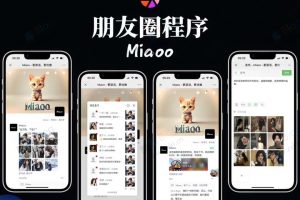 Maioo仿朋友圈程序去授权