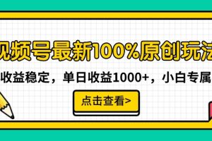 视频号最新100%原创玩法，收益稳定，单日收益1000+，小白专属