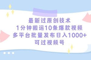 最新过原创技术，1分钟搬运10条爆款视频，多平台批量发布日入1000+