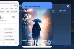 王者公益金牌特权