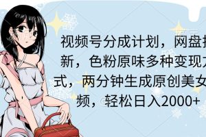 视频号分成计划，网盘拉新，色粉原味多种变现方式