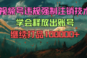 视频号违规强制注销技术 学会释放出账号继续打品100000+