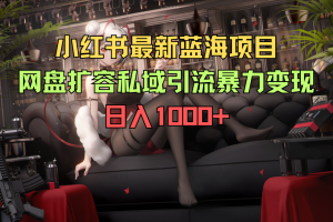 小红书最新蓝海项目，网盘扩容私域引流，暴力变现，日入1000+（附100T占位文件）