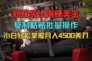 短视频出海赚美金，复制粘贴批量操作，小白轻松掌握，月入4500美刀