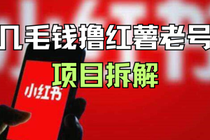 几毛钱撸红薯老号项目拆解