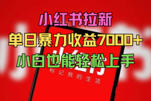 小红书拉新，单日暴力收益7000+，小白也能轻松上手