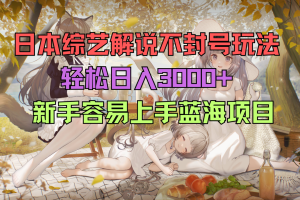 日本综艺解说不封号玩法，轻松日入3000+， 新手容易上手，蓝海项目