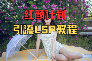 红颜计划，引流LSP教程