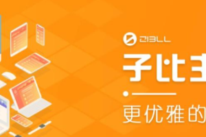 几个版本的破解版子比主题