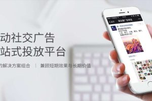 广告鲁包项目一个广告0.2-1块，一天100+