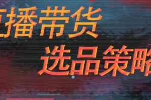 无人直播带货选品思路