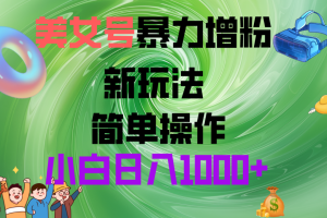 美女号暴力增粉 新玩法 操作简单 小白日入1000+