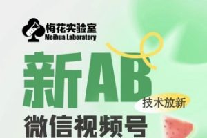 梅花实验室2024年AB技术视频号AB合成破解版
