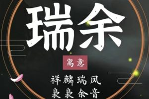 玄学入门级，视频号宝宝起名，0成本，一单268，轻松日入1000+