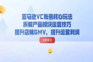 亚马逊VC账号核心玩法，拆解产品模块运营技巧，提升店铺GMV，提升运营利润