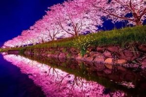 短视频掘金项目，AI制作治愈系风景，奇幻天空特效，操作简单，